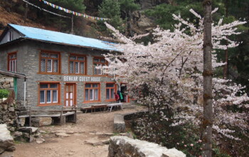 Benkar Guest House au Népal