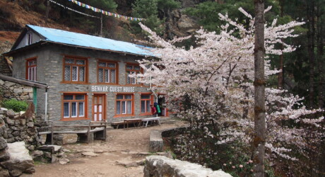 Benkar Guest House au Népal